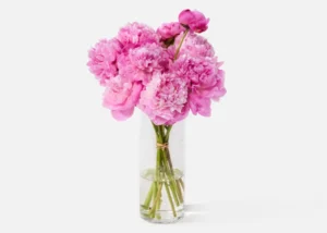 Peony bouquet delivery