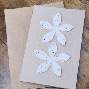 4×6 Individual Plantable Seed Paper Card