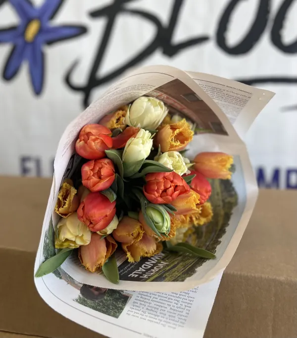 Englewood Tulips Bouquet NATIONAL - Image 4