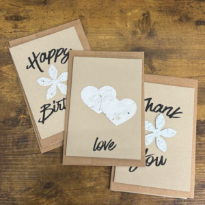 Wildflower Seed Paper Cards Variety Pack (Pack of 5)