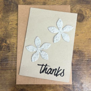 Thanks Wildflower Plantable Seed Paper Card Pack (5 per pack)